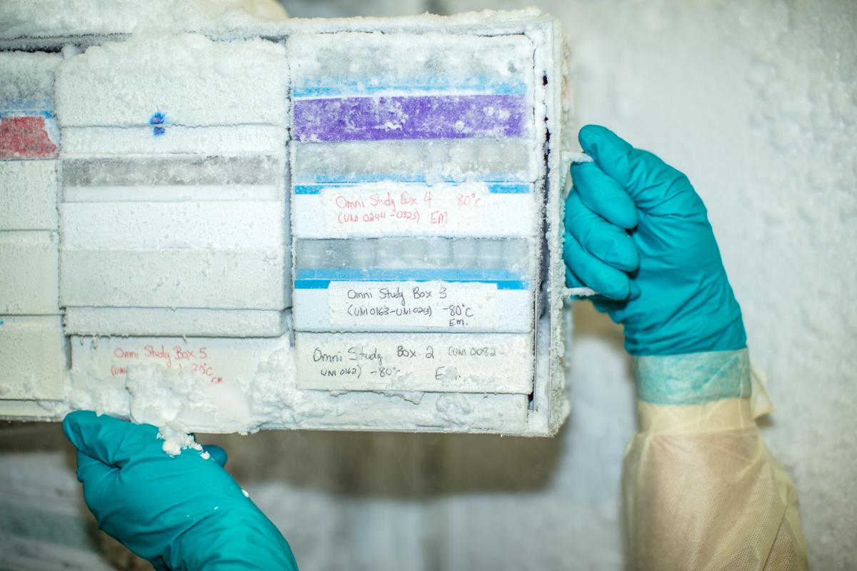 Blood samples are stored in a biobank for future pandemic research (Photograph by John Kealey)
