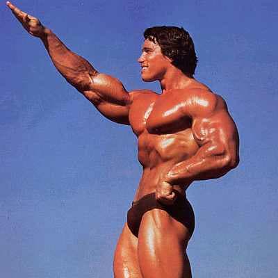 Environmentalism, Schwarzenegger style