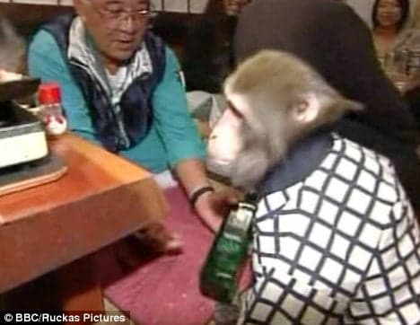 Monkey Uprising: Monkey Waiters