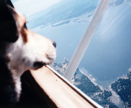 Dogs and cats in cabins? Oh my!