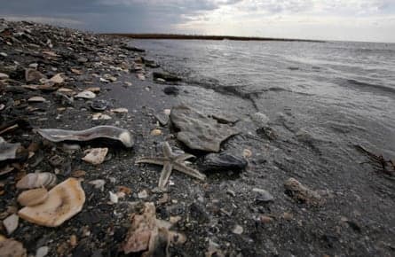 Cleaning up the world's worst oil spills