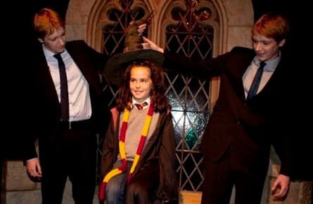 Heaven for Harry Potter fans