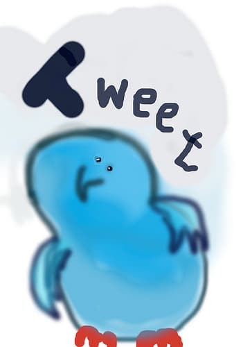 The appeal of Twitter