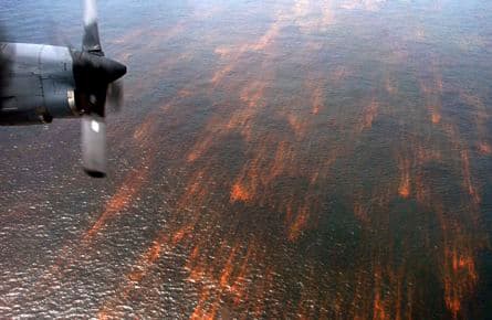 BP platform wasn't inspected