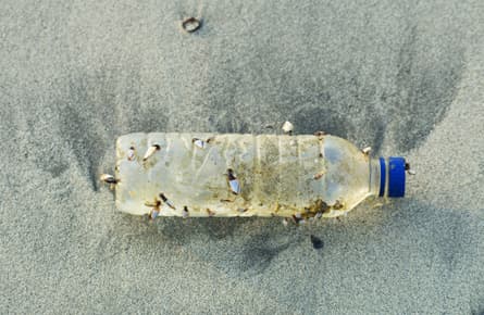 Bottled water full of bacteria