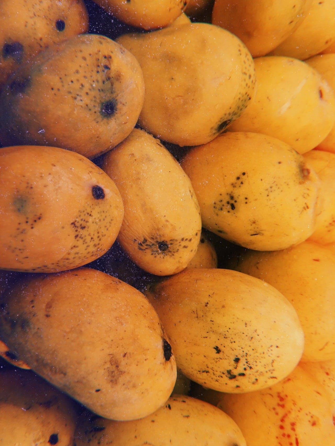 The king of mangoes