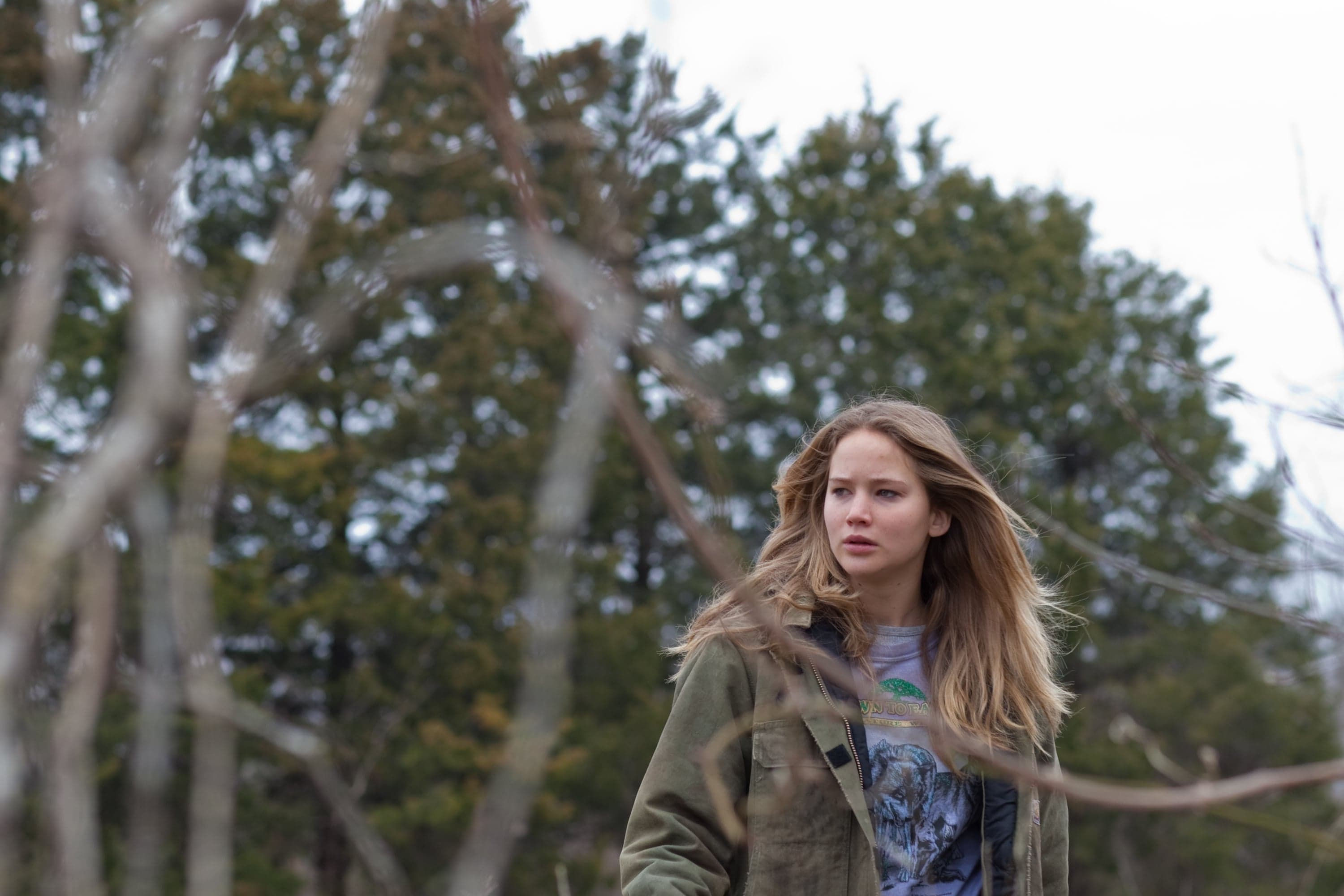 Opening weekend: Losing home in ‘Winter’s Bone’ and ‘Toy Story 3′