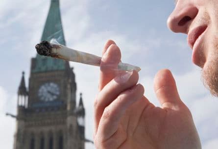 More than half of Canadians think pot laws should be relaxed