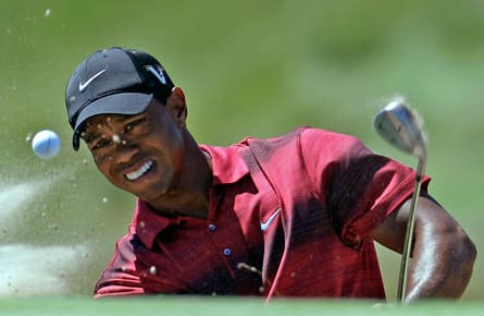 Tiger Woods and Elin Nordegen make divorce official
