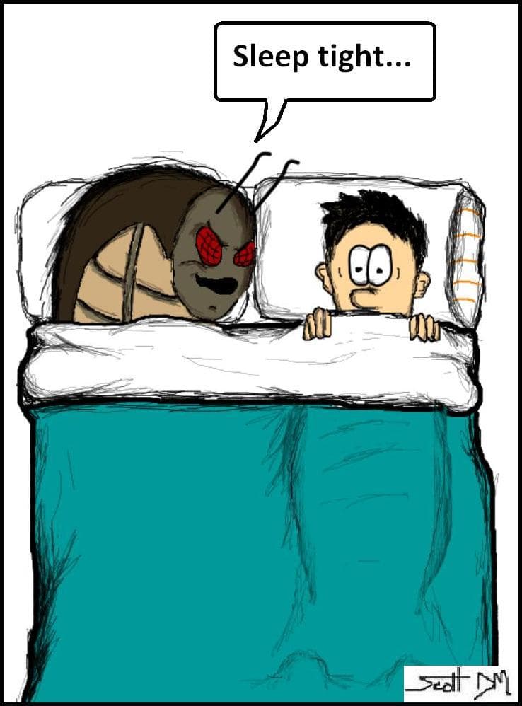 The dangers of living in residence