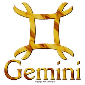 When Gemini Meets Gemini