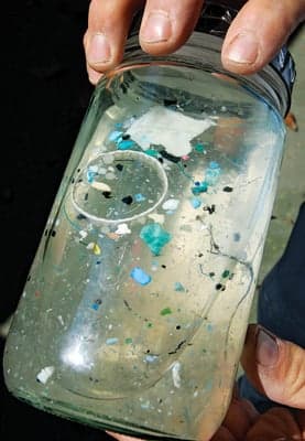 Trashing the island
