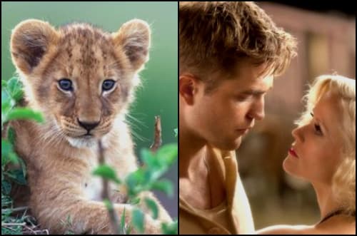 Opening Weekend: 'Water for Elephants' and 'African Cats'