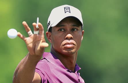 Teflon Tiger