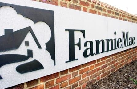 Fannie, I wish I'd never seen your face