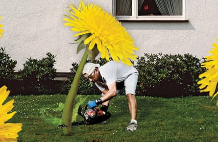 I fought the lawn, and the lawn won