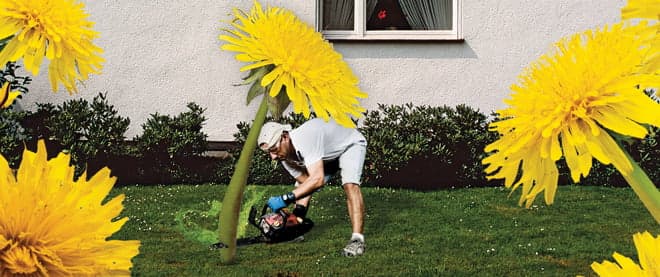 I fought the lawn, and the lawn won