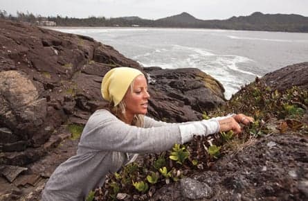 Feasting on Tofino