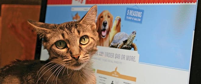 The web's new best friend?