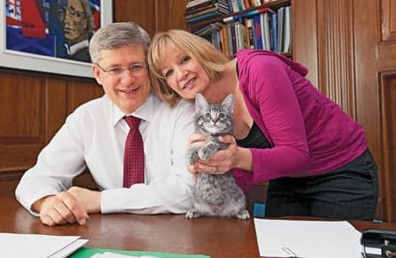 The Harpers' feline fixation