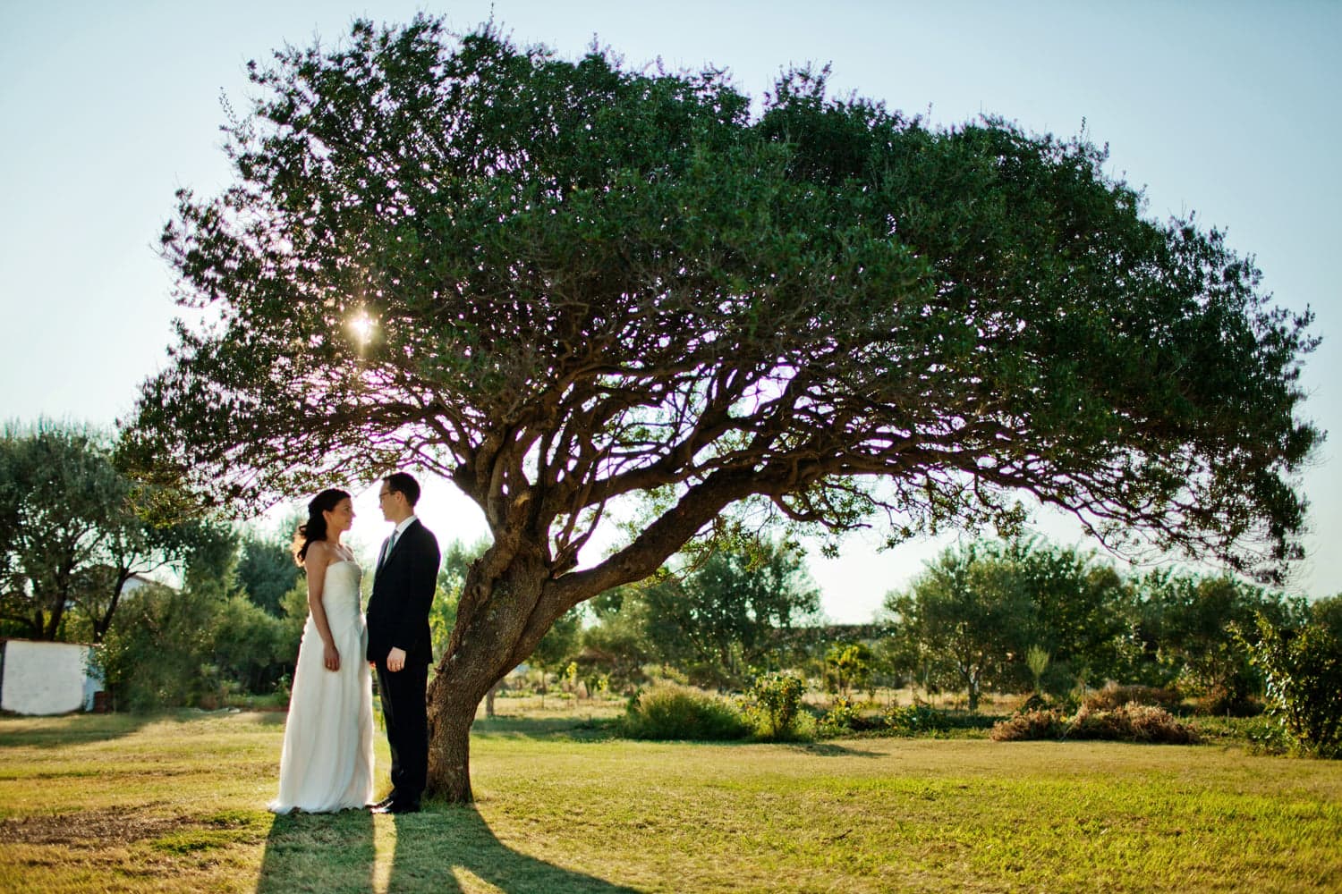 Senators’ home cooking and a no-fuss wedding