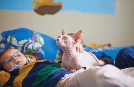 Canadians love to cuddle up to their furless friends