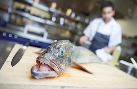 You’ll absolutely love ‘minkfish’