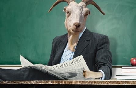 The things you learn at goat school!