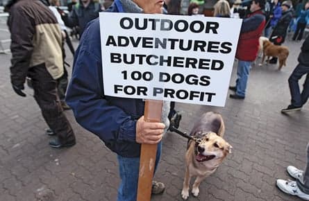 Whistler’s sled dog massacre