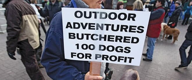Doggone mystery