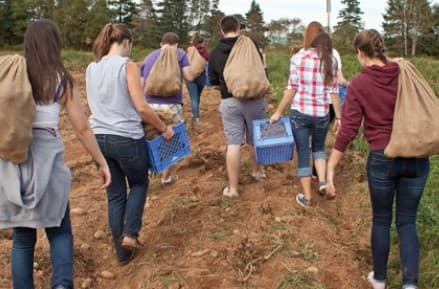 The dirt on farming