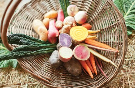 What’s the Brix level of your carrot?