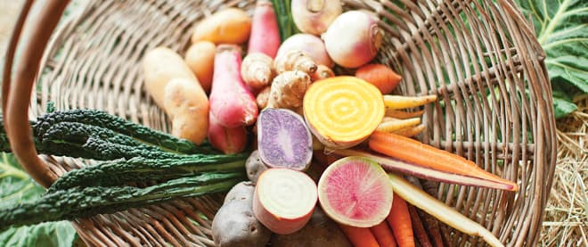 What’s the brix level of your carrot?