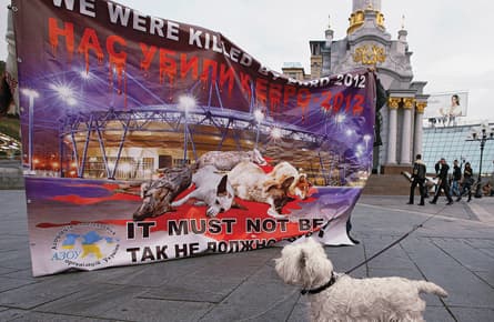 It’s a doggone shame