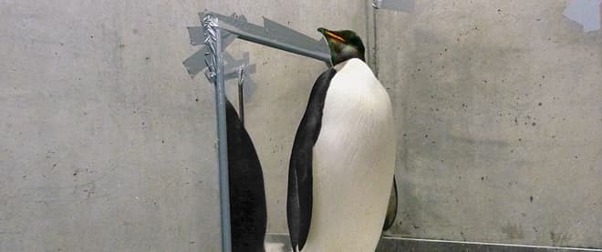 The tail end of the news