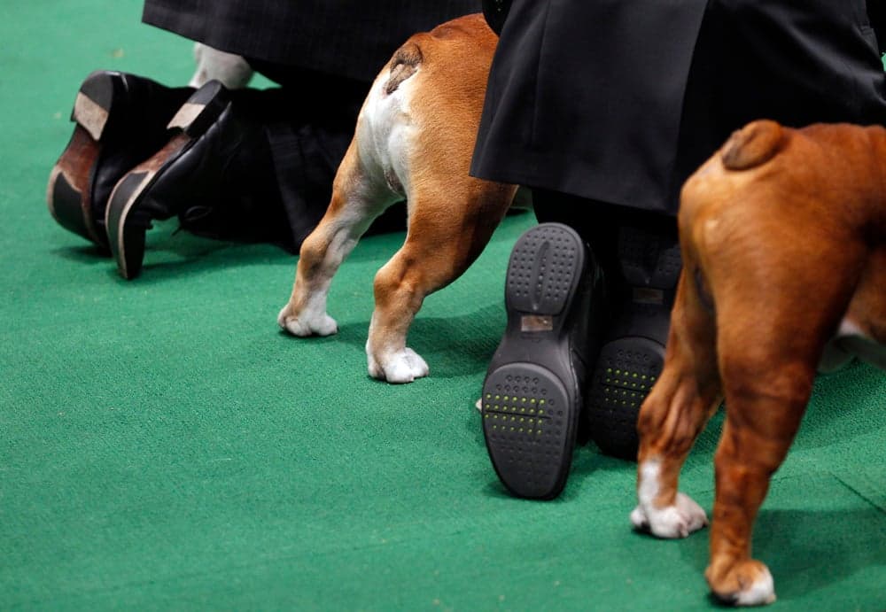 Week in Pictures: February 13th - 19th 2012