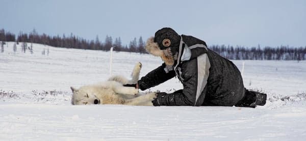 The trainer who keeps wolves at the door