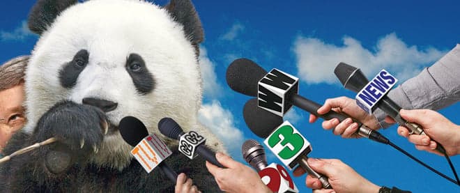 We’re about to lead the G8 in ‘cuddly’