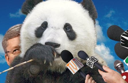 We’re about to lead the G8 in ‘cuddly’