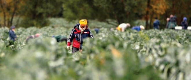 A disposable workforce