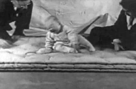 Solving the mystery of 'Little Albert'
