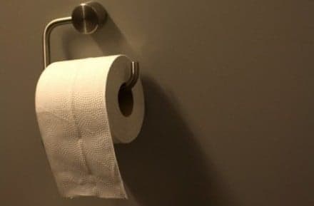 Victim of the Freshman 15? Blame toilet paper.