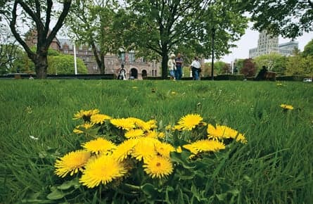 Manitoba should think twice before banning pesticides