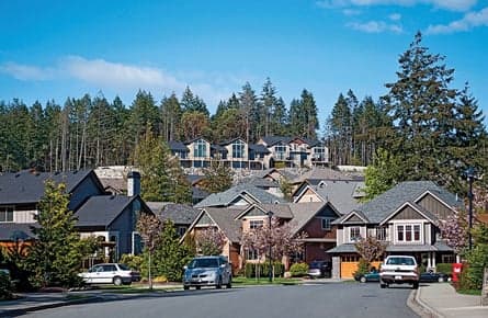 The "North Vancouver Tree Massacre"
