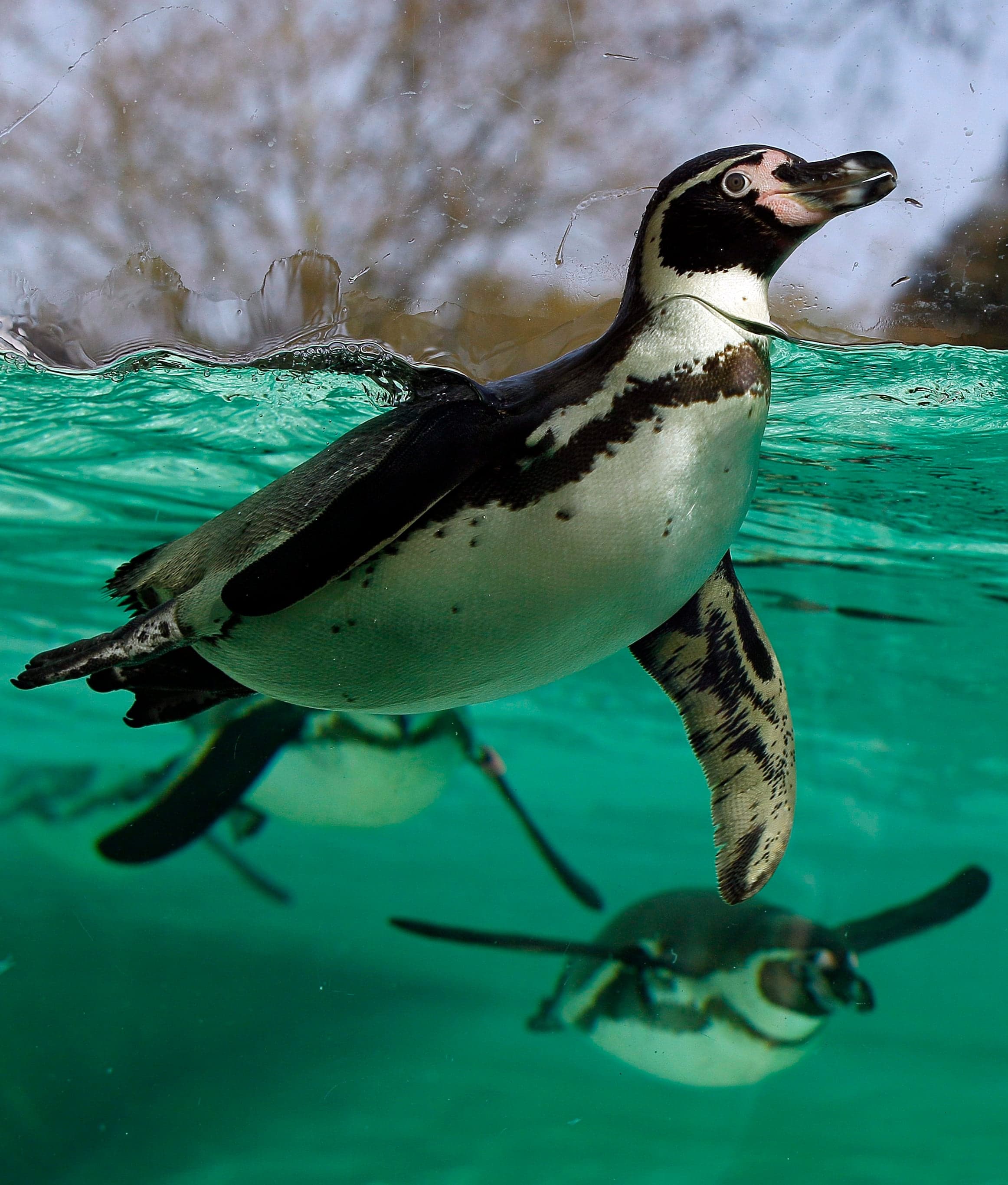 Week in pictures: March 29 – April 5, 2012