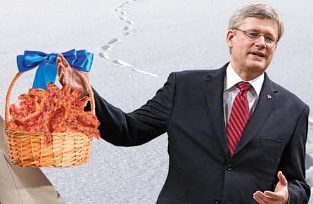 I go back and forth on Idle No More