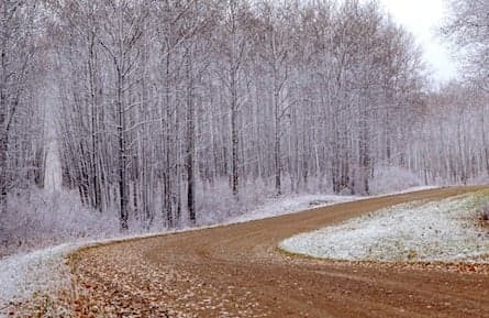 Canada's Top 10 cities for weather