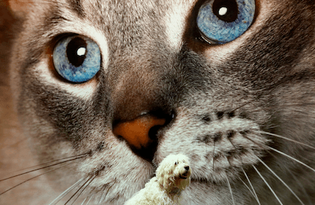 Week in Pictures