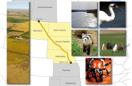 Five takeaways from the 2,000-page report on Keystone XL