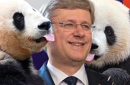 Watching the panda-watchers
